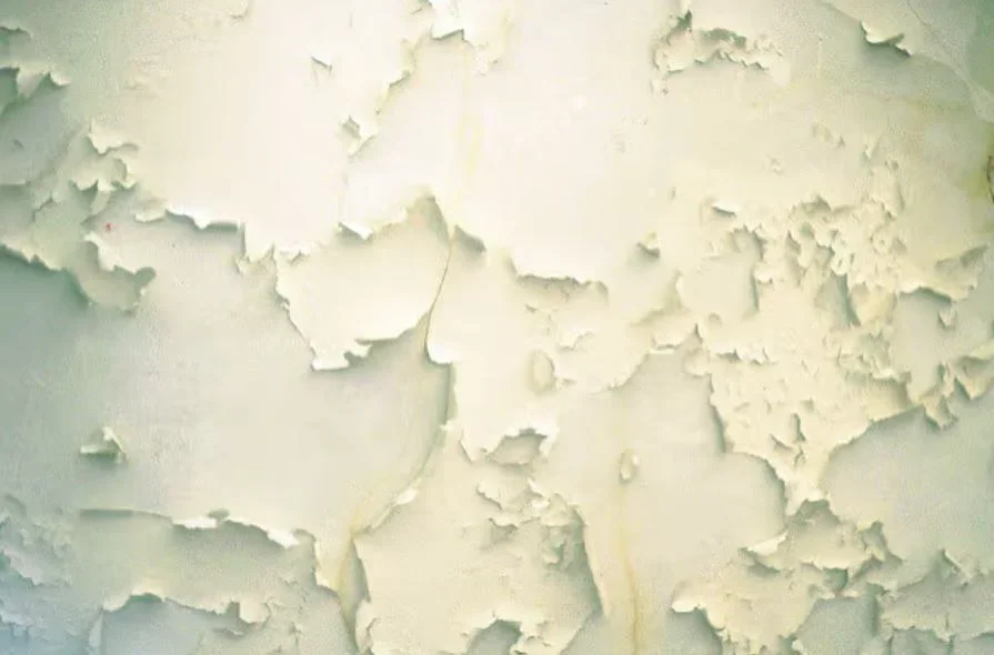 Home 5 Lead Paint and Asbestos